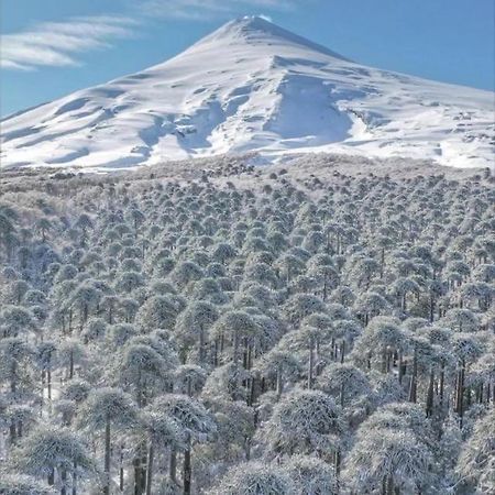 Pucon, La Capital Del Sur De Chile Daire Dış mekan fotoğraf